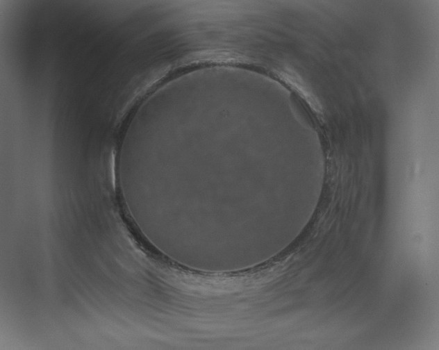 X0000074000014200608211426