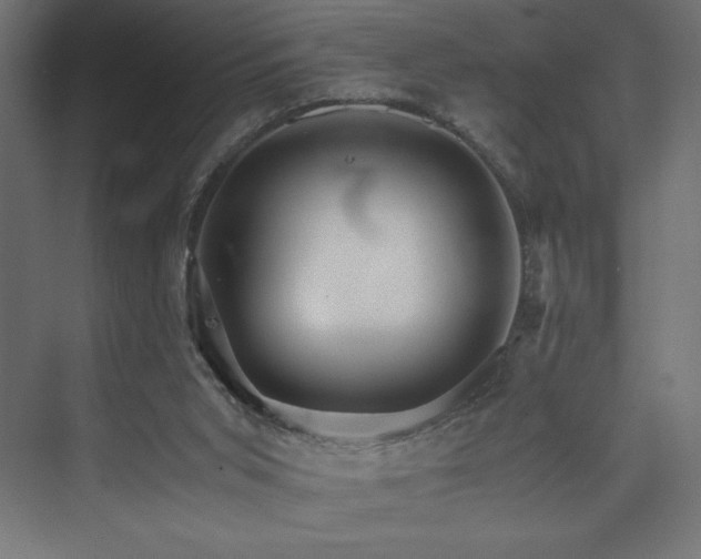 X0000074000015200608211426