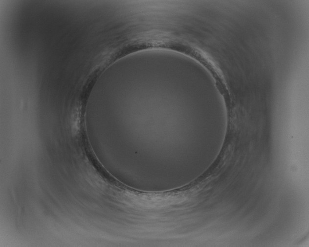 X0000074000018200608211426