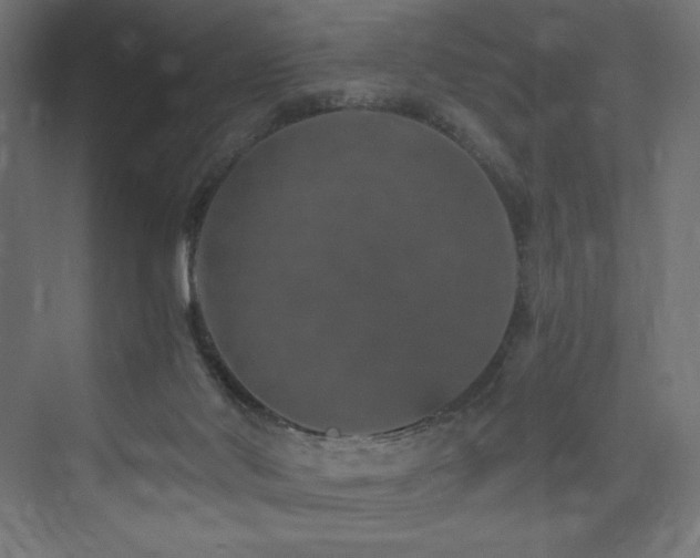 X0000074000022200608211425
