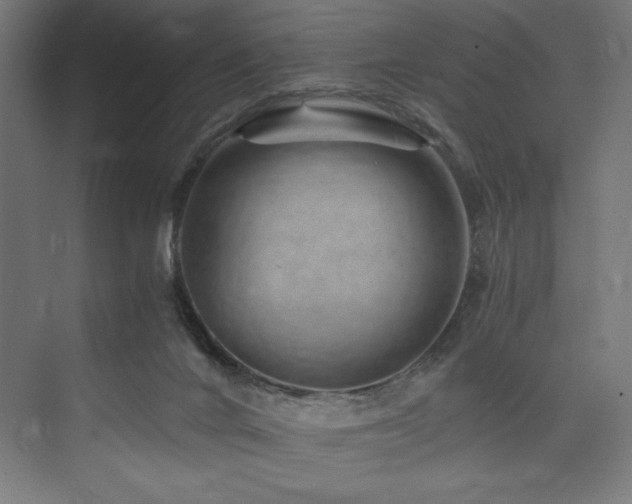 X0000074000024200608211425