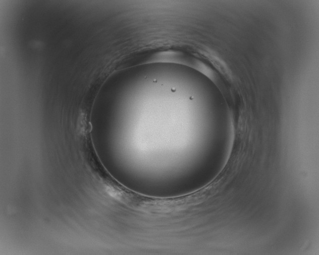 X0000074000025200608211425