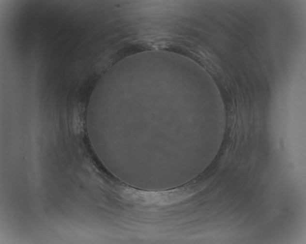 X0000074000030200608211425