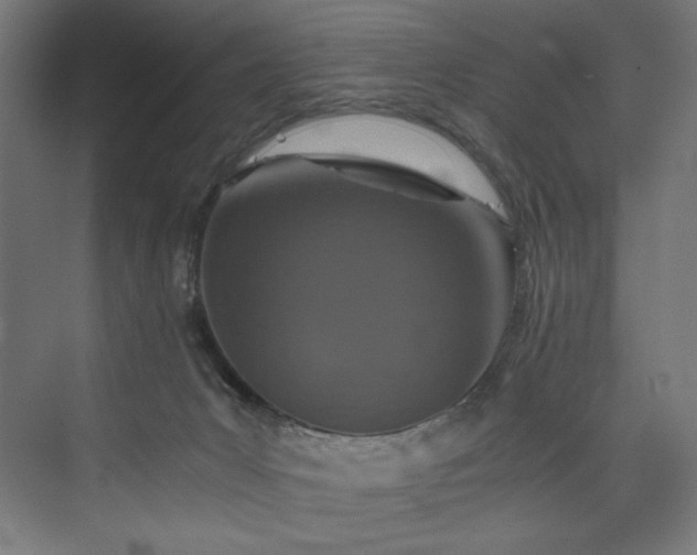 X0000074000031200608211425