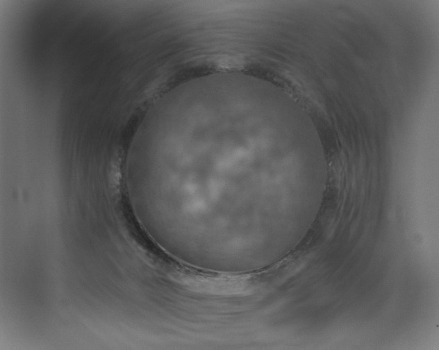 X0000074000032200608211425