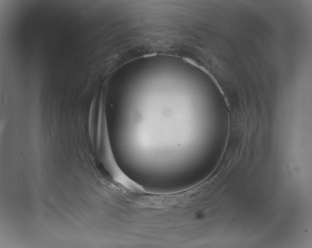 X0000074000033200608211425