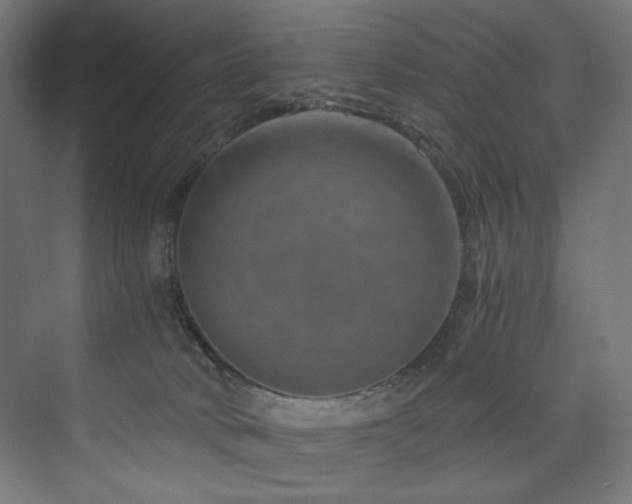 X0000074000034200608211425