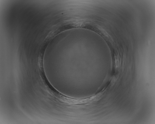 X0000074000035200608211425