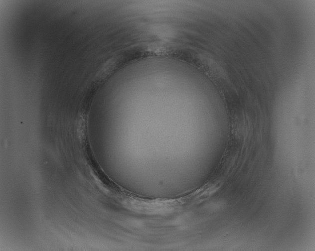 X0000074000036200608211425
