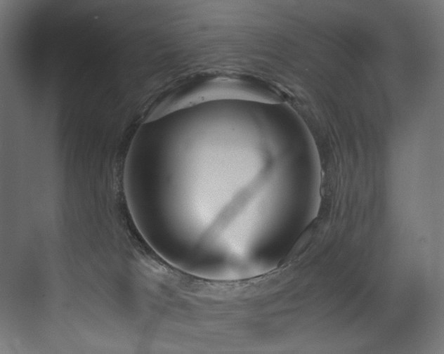 X0000074000037200608211425