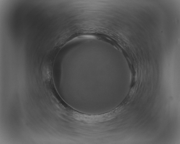 X0000074000039200608211425