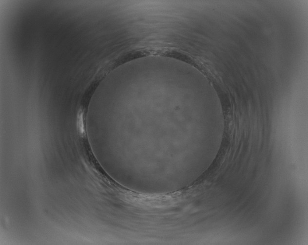 X0000074000042200608211425