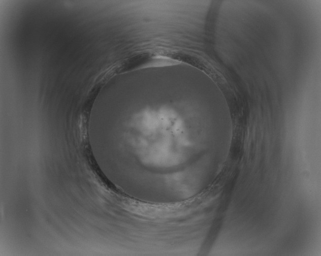 X0000074000043200608211425