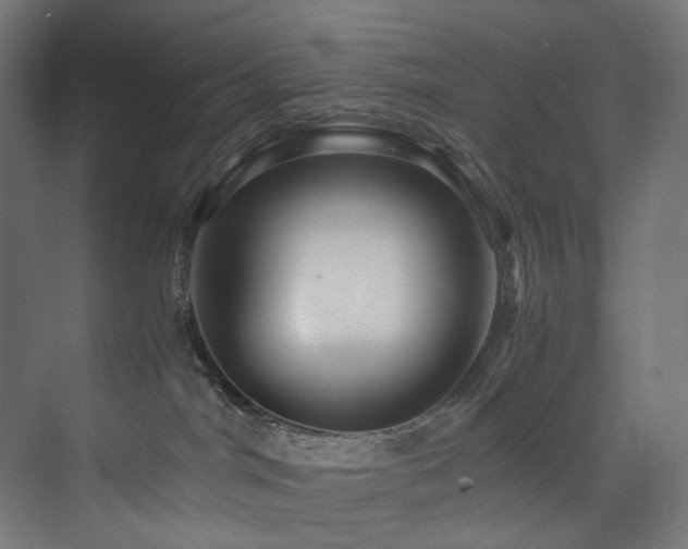 X0000074000044200608211425