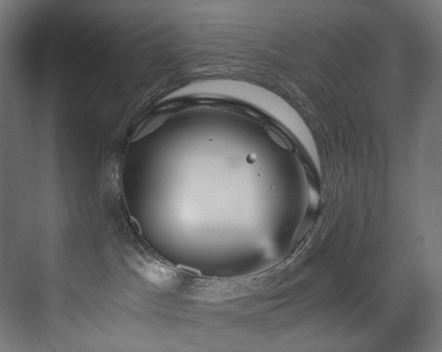 X0000074000045200608211425