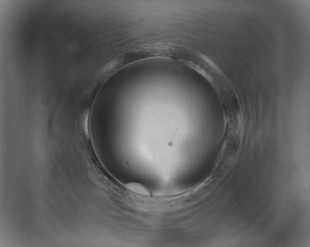 X0000074000047200608211425