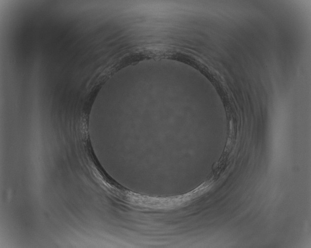 X0000074000048200608211425