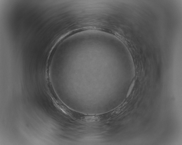 X0000074000050200608211424
