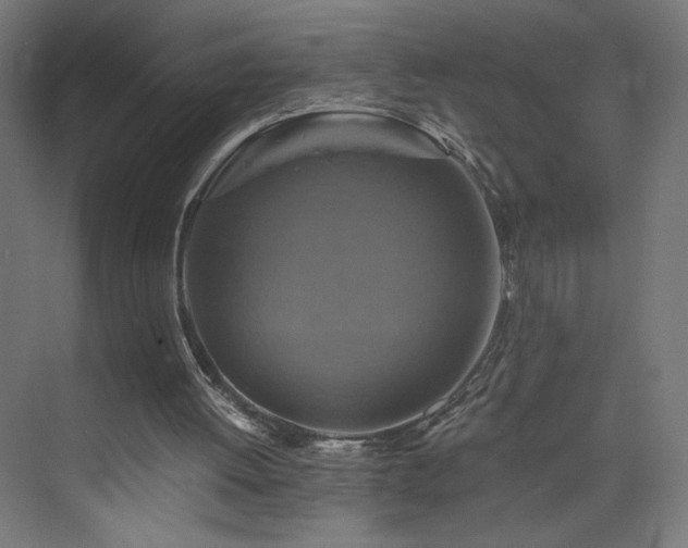 X0000074000052200608211424