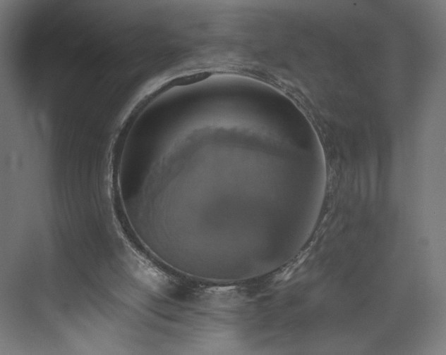 X0000074000054200608211424