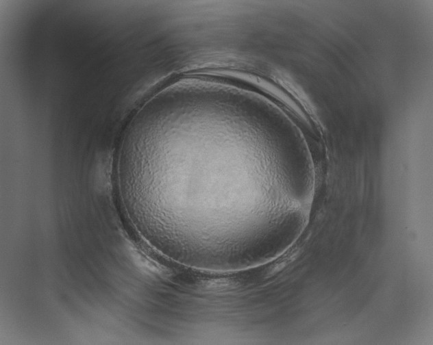 X0000074000058200608211424