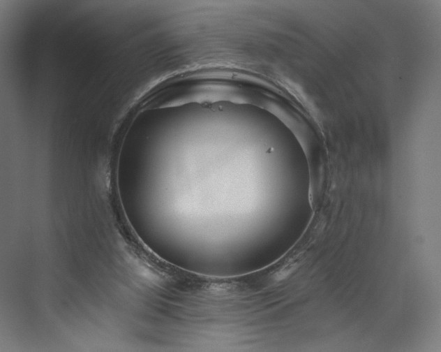 X0000074000060200608211424