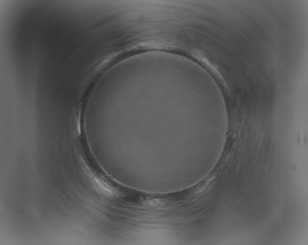 X0000074000062200608211424