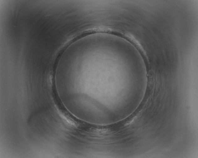 X0000074000063200608211424