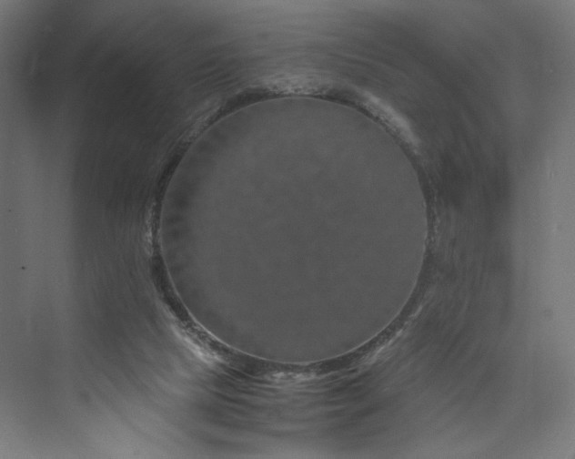 X0000074000065200608211424