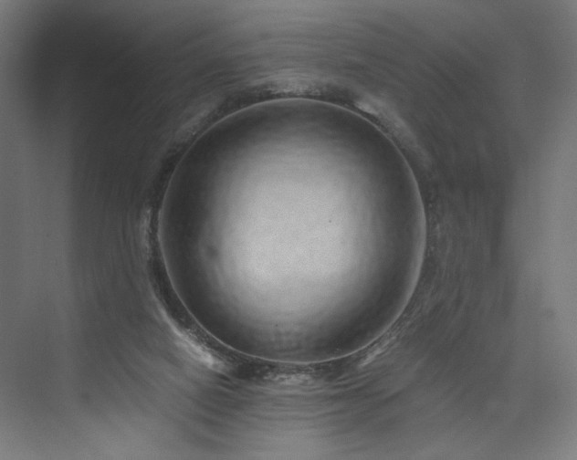 X0000074000066200608211425