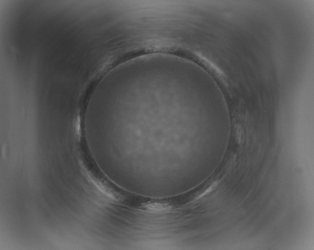 X0000074000067200608211425
