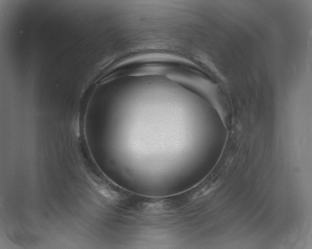 X0000074000068200608211425