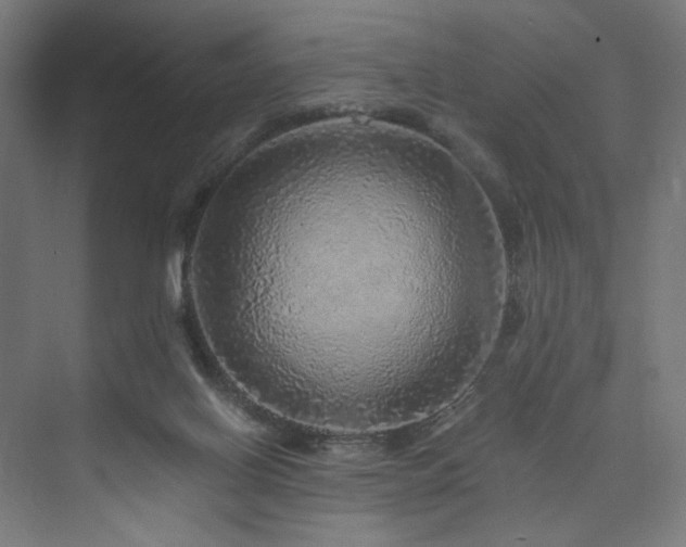 X0000074000070200608211425