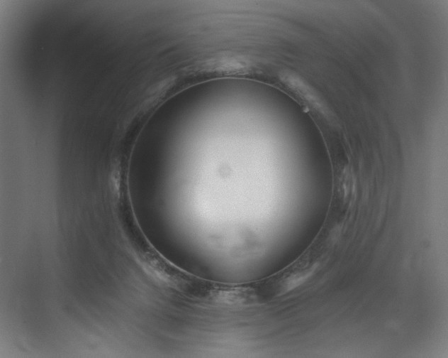 X0000074000072200608211425
