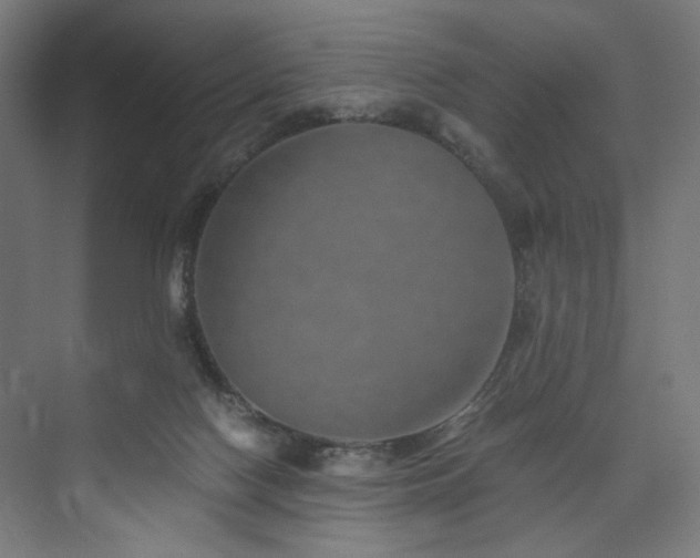 X0000074000074200608211425