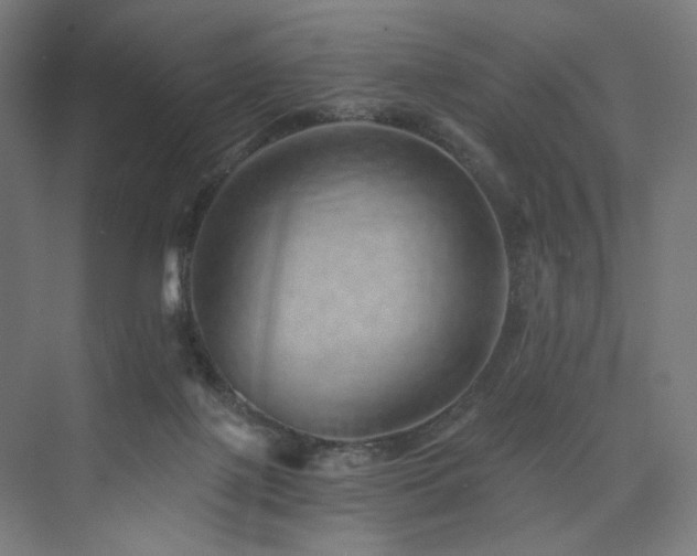 X0000074000075200608211425