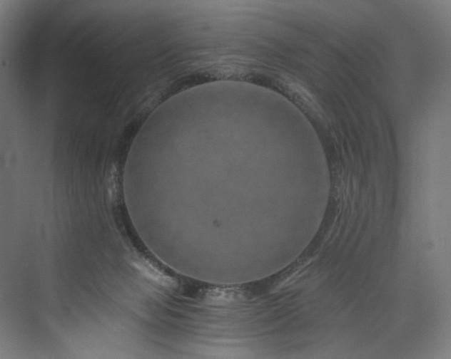 X0000074000077200608211425