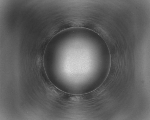 X0000074000079200608211425