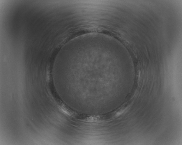 X0000074000080200608211425