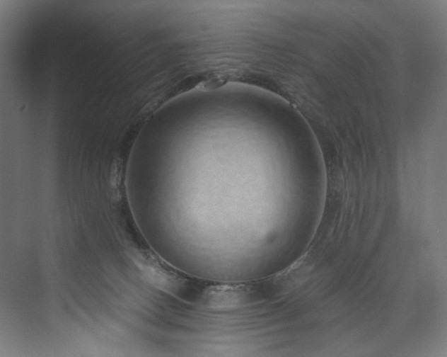 X0000074000082200608211425