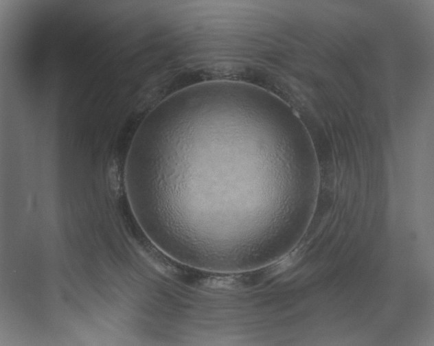 X0000074000086200608211425