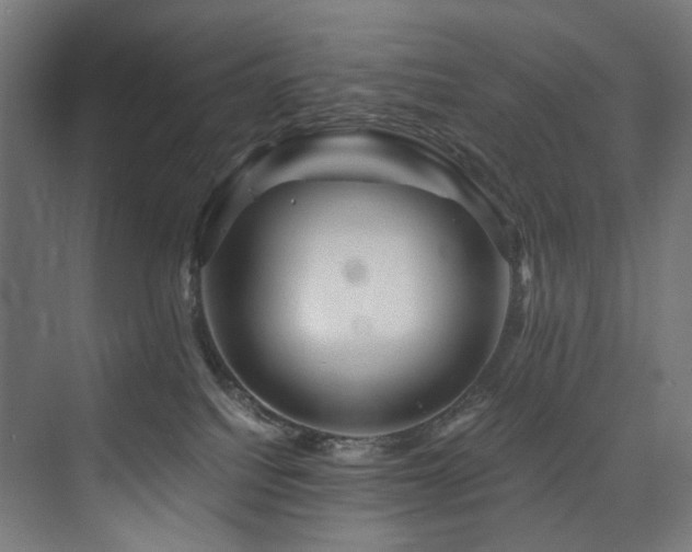 X0000074000088200608211425