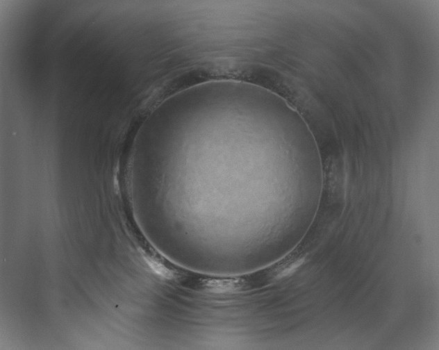 X0000074000089200608211425