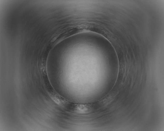 X0000074000091200608211425