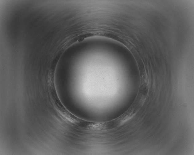 X0000074000092200608211425
