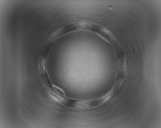 X0000074000094200608211425