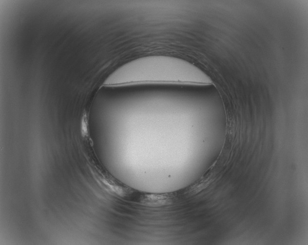 X0000074000095200608211425