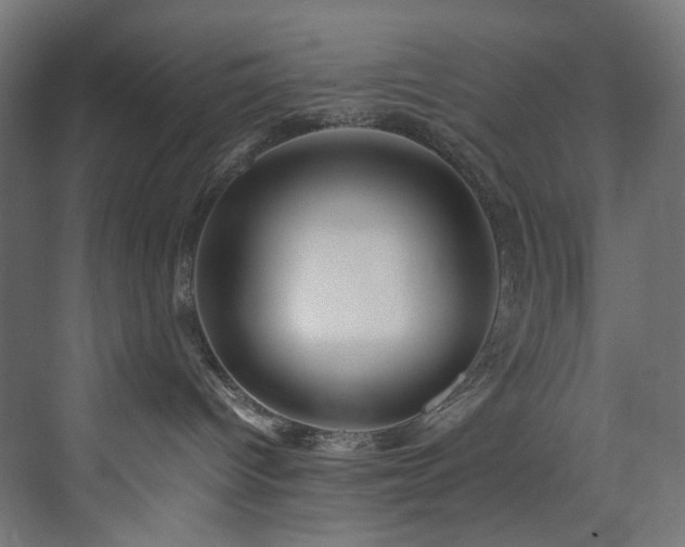 X0000074000096200608211425