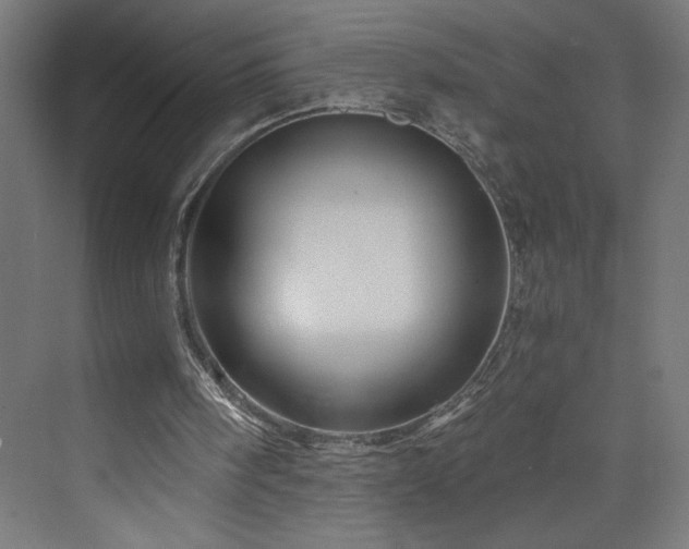X0000074000098200608211424