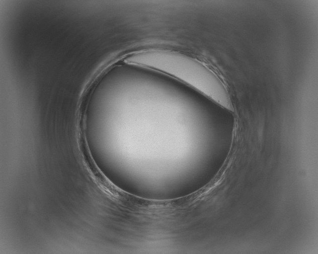 X0000074000101200608211424